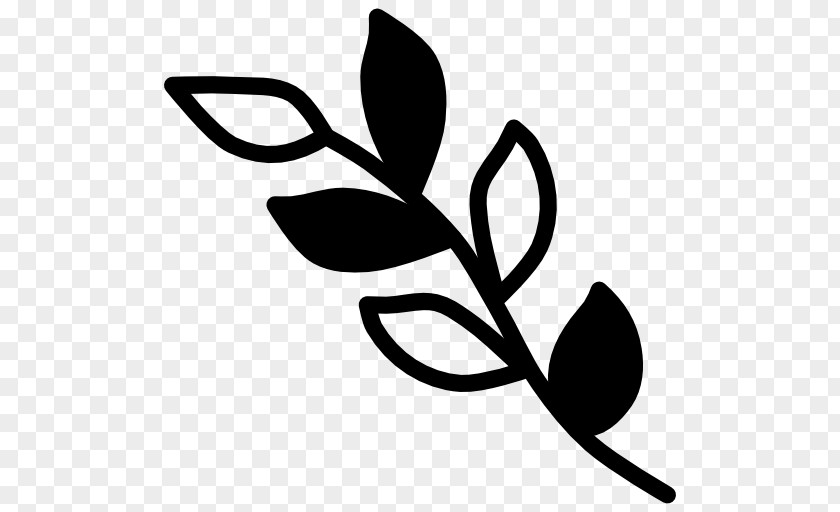 Clip Art Plant Stem Flower Leaf Line PNG