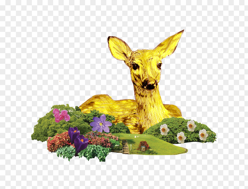 Deer Elk Antelope Hedgehog PNG