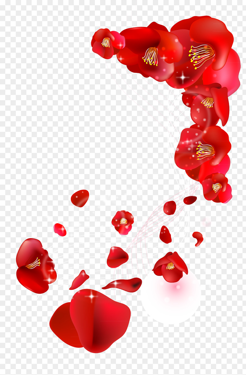 Flower Image Petal Clip Art PNG