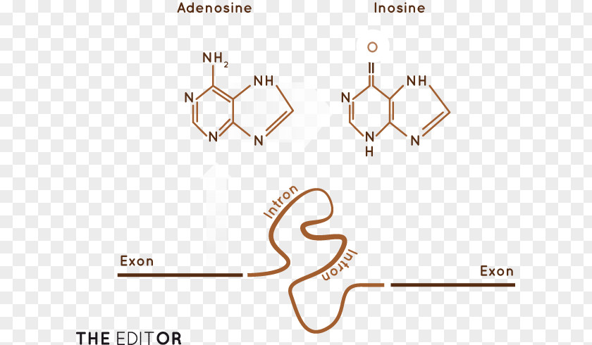 Genetically Modified Organism Line Technology Angle PNG