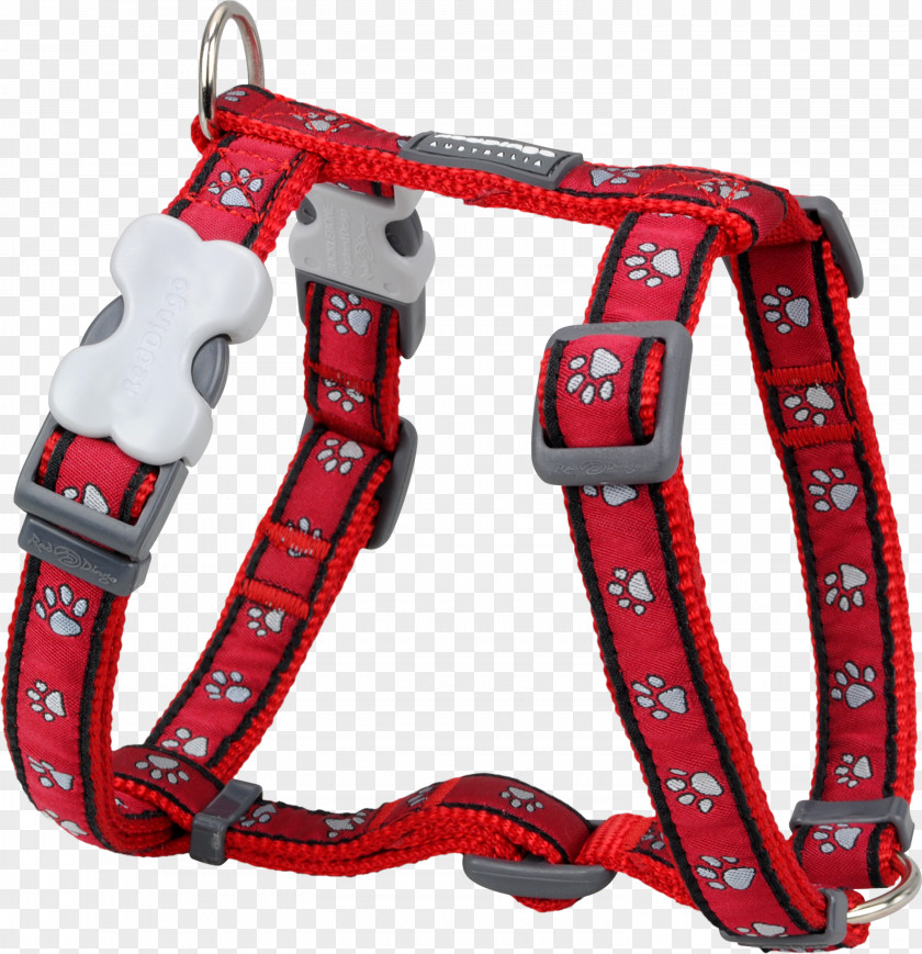 Red Collar Dog Harness Dingo Puppy PNG