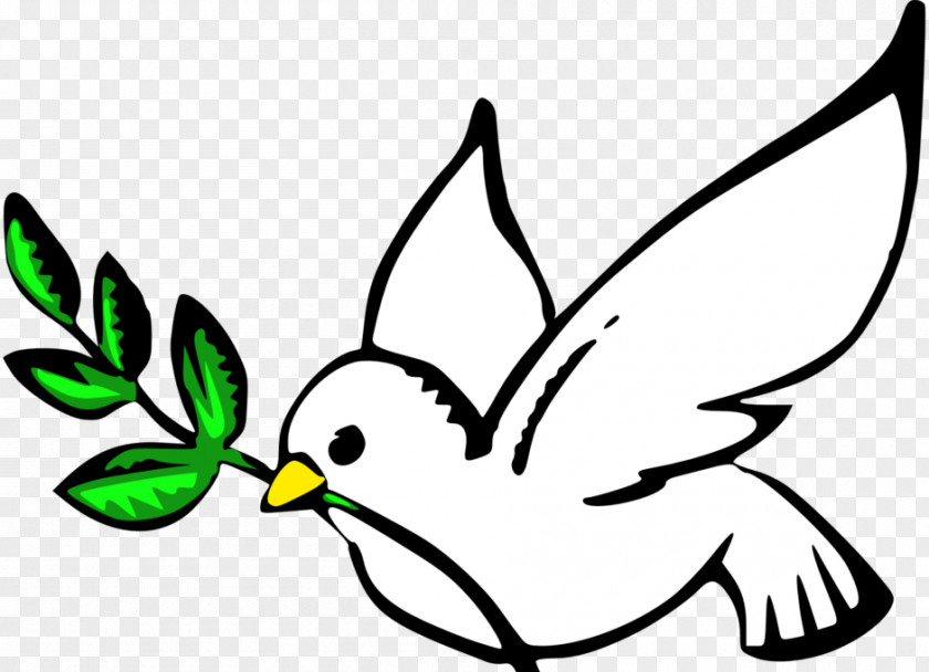 White Pigeon Columbidae Doves As Symbols Peace Clip Art PNG