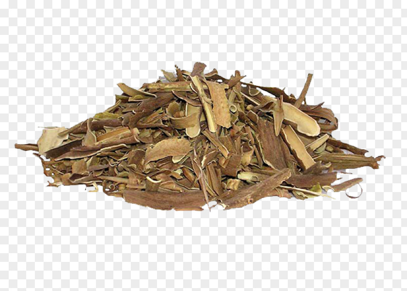 Willow Bark Salix Alba Salicin Black Herb PNG