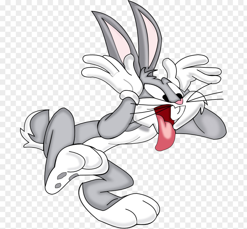 Bugs Bunny Daffy Duck Looney Tunes Animated Cartoon PNG