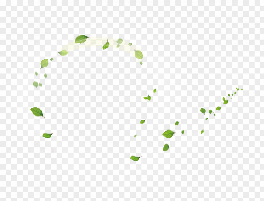 Green Leaves Whirlwind Floating Material Download Dr. Leonel Espinoza Clip Art PNG
