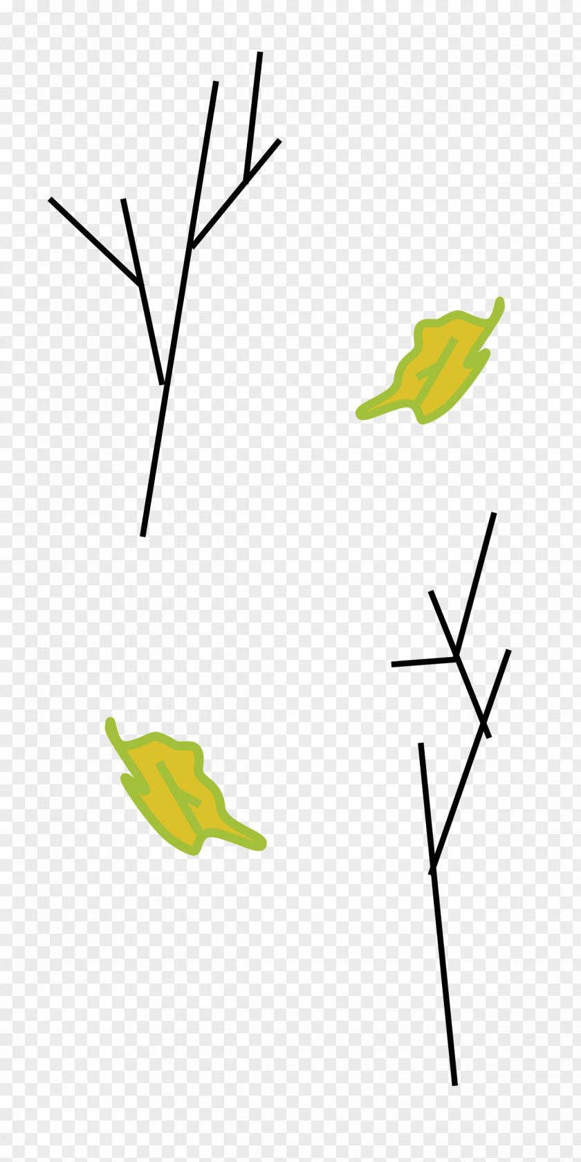 Number Of Branches Branch Leaf Plant Stem Clip Art PNG