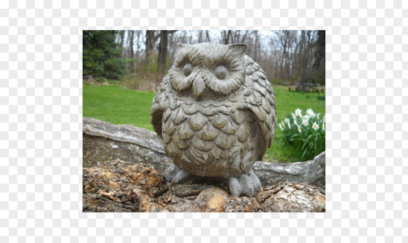 Owl Stone Carving Sculpture Rock PNG