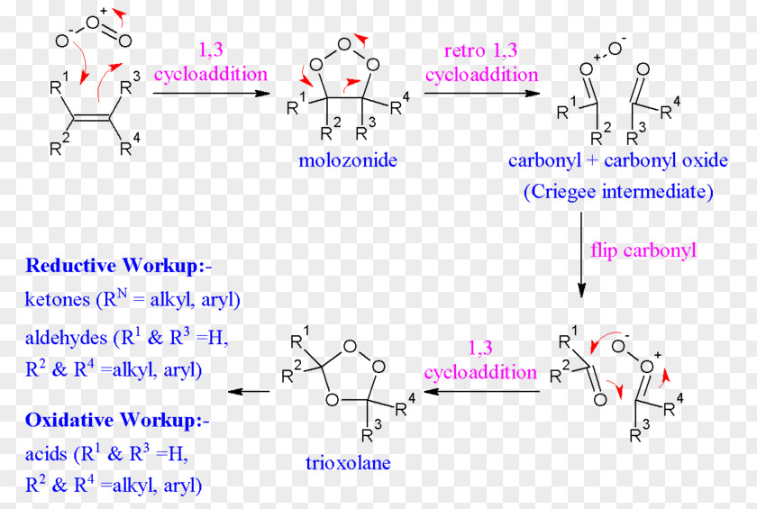Ozonolysis Reaction Mechanism Alkene Chemical Redox PNG