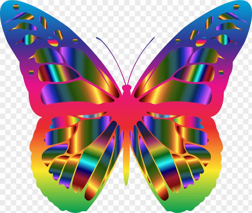 Butterfly Monarch Desktop Wallpaper Clip Art PNG