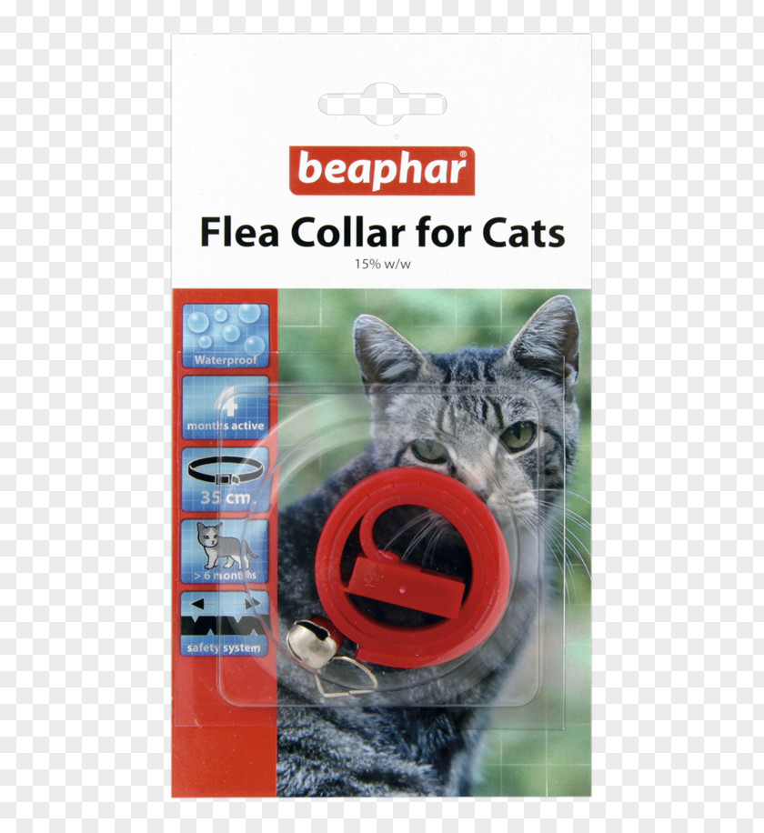 Cat Dog Collar Pet Shop PNG