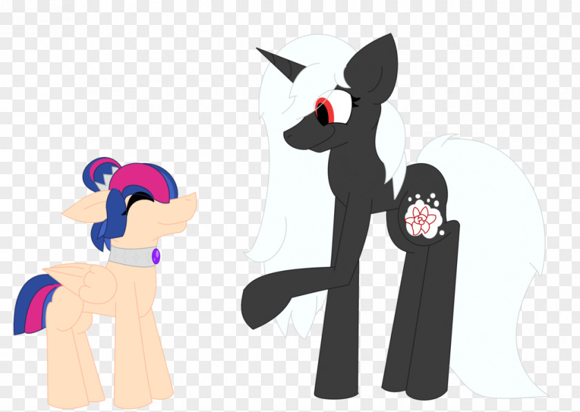 Cat Pony Horse PNG