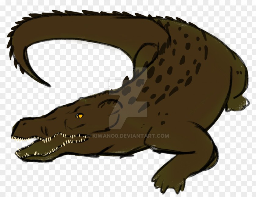 Crocodile Nile Alligators Tyrannosaurus Vertebrate PNG