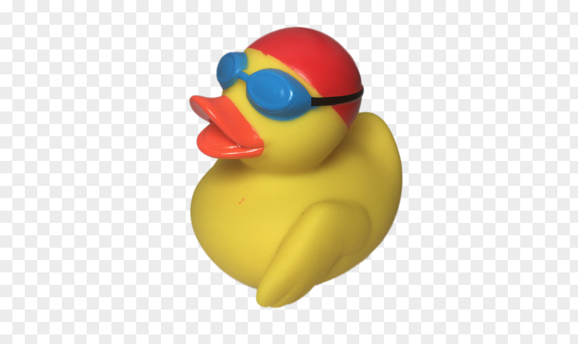 Duck Rubber Yellow Toy Swimming PNG