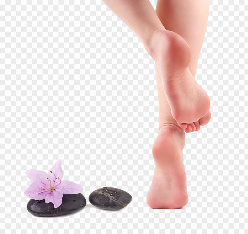 Flowers Legs And Foot After Callus Cleanser Pedicure Hair Removal PNG