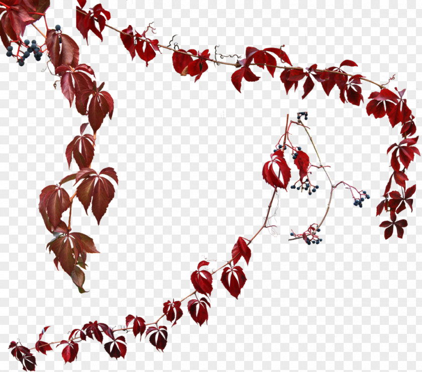 Heart Tree Flower PNG