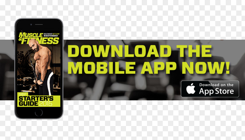 Muscle Fitness Brand Product Design Advertising Gadget PNG