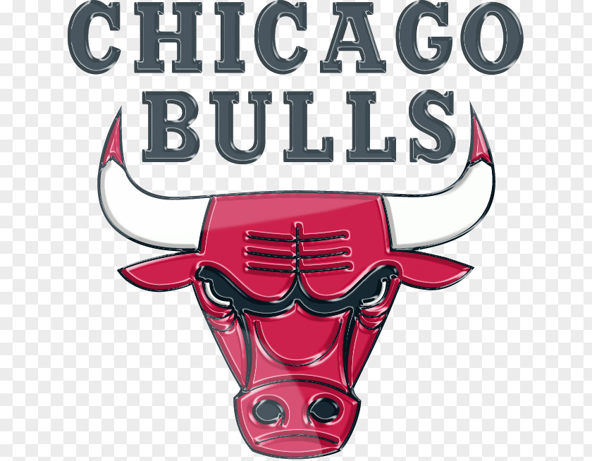 Nba Chicago Bulls NBA Cubs Indiana Pacers Logo PNG