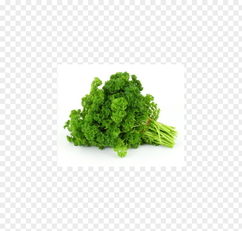 Vegetable Organic Food Fruit Salad PNG