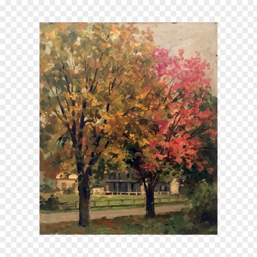 Watercolor Landscape Maple Painting Leaf Tree PNG