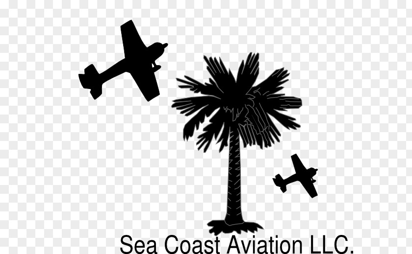 Baltic Sea Coast Flag Of South Carolina Sabal Palm Trees Crescent PNG