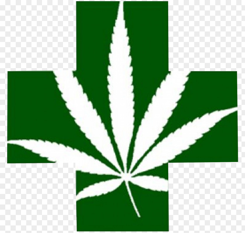 Cannabis Encanto Green Cross Dispensary Medical Shop PNG