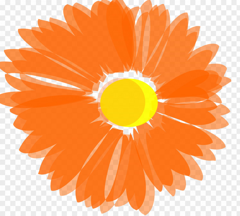 FLOWER PATTERN Orange Flower Clip Art PNG