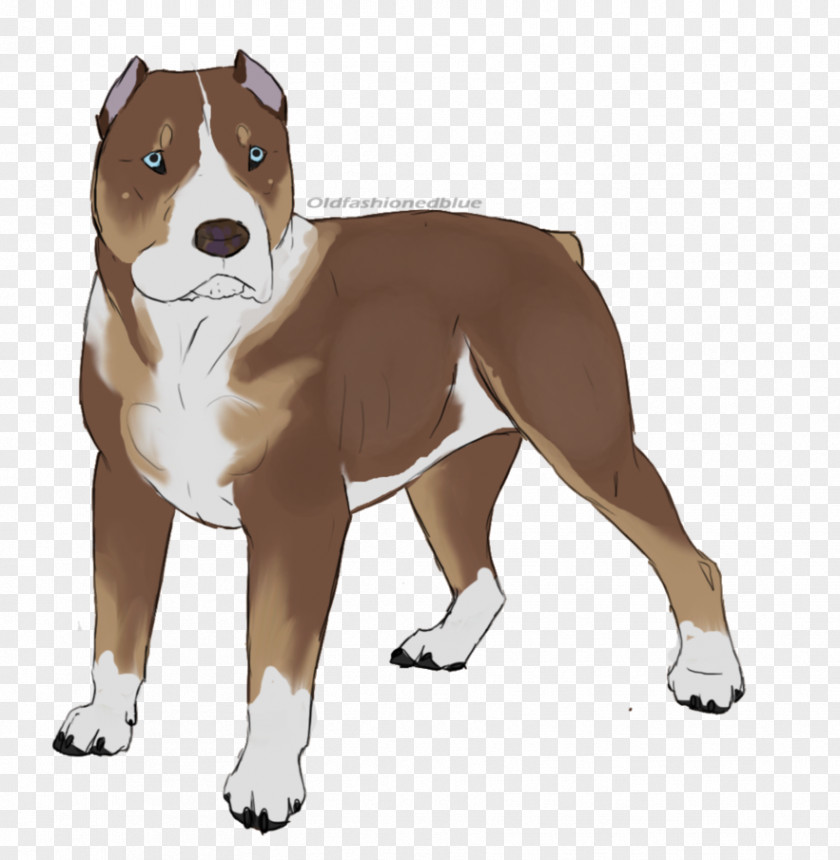 Pitbull American Staffordshire Terrier Pit Bull Dog Breed PNG