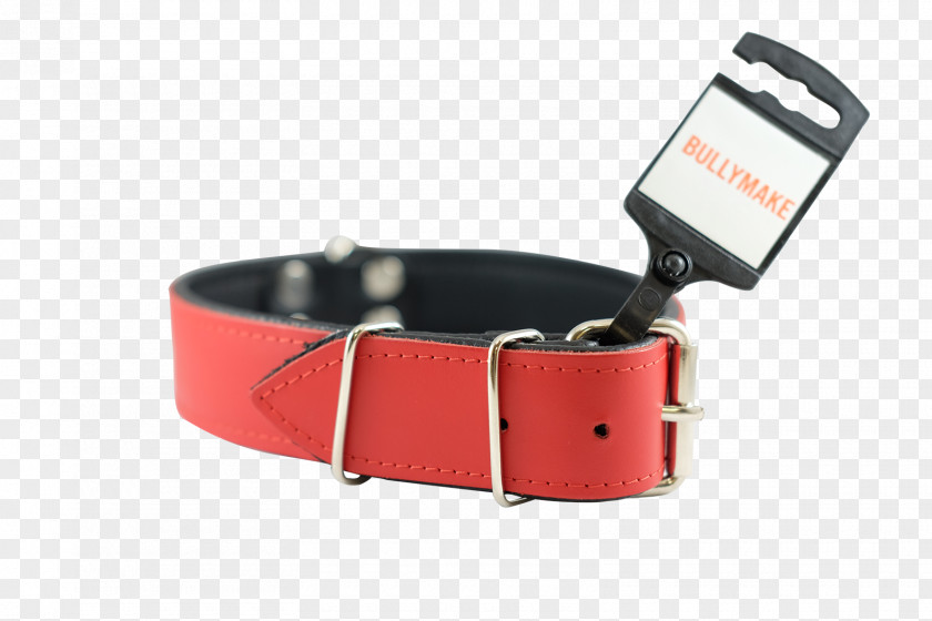 Red Collar Watch Strap Dog PNG