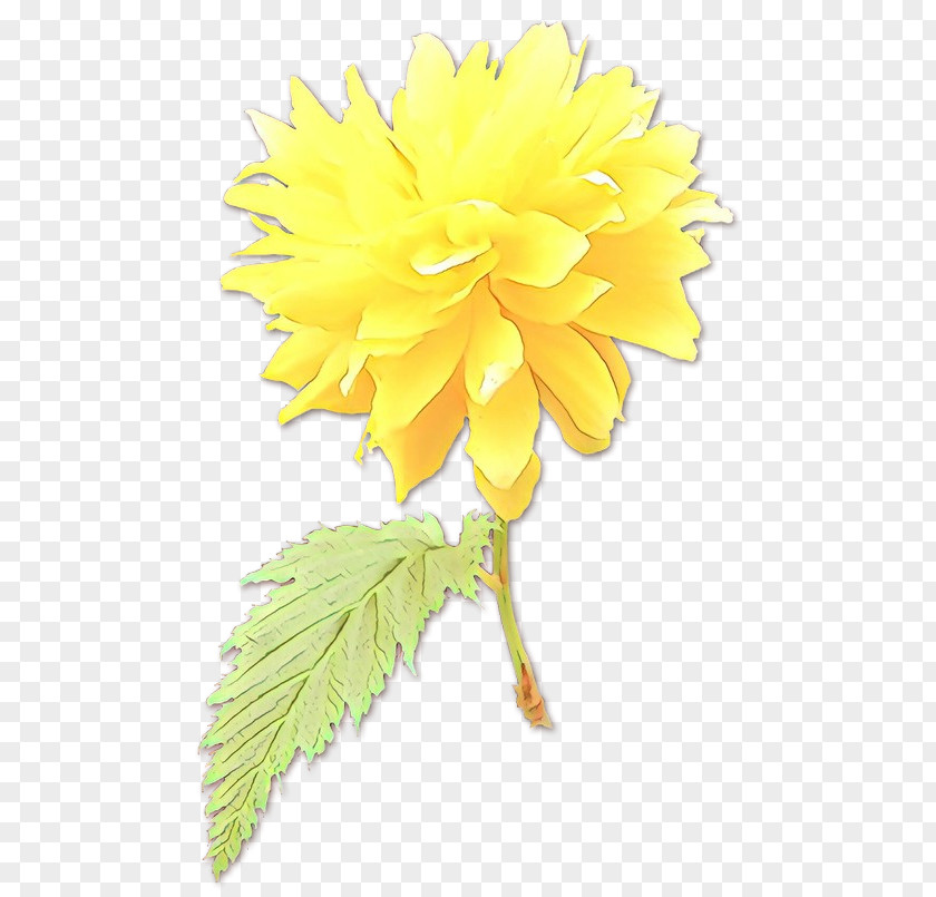 Sunflower Artificial Flower PNG