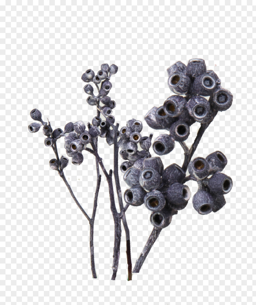 Blueberry Bilberry Body Jewellery Tree PNG