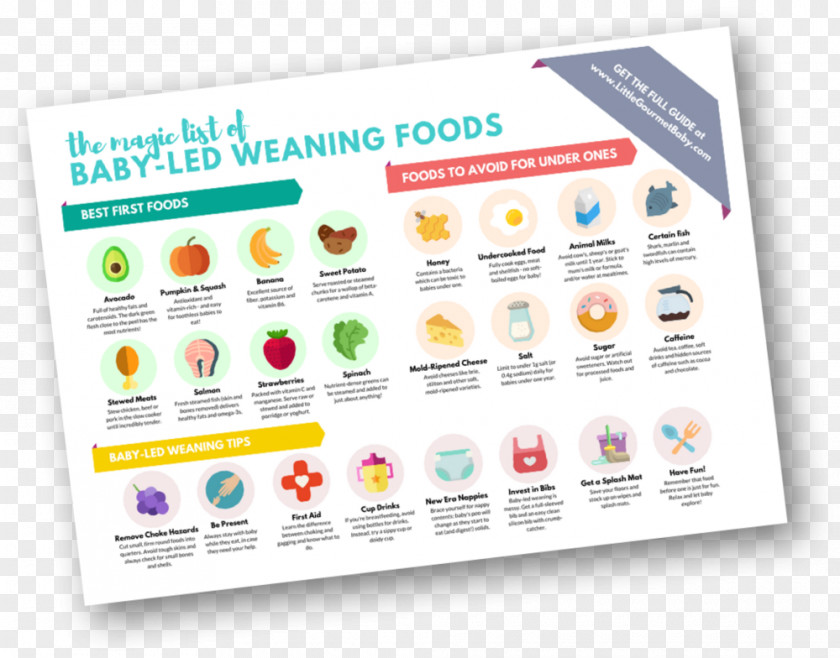 Food Infographic Baby Introducing Solids Milk Baby-led Weaning PNG