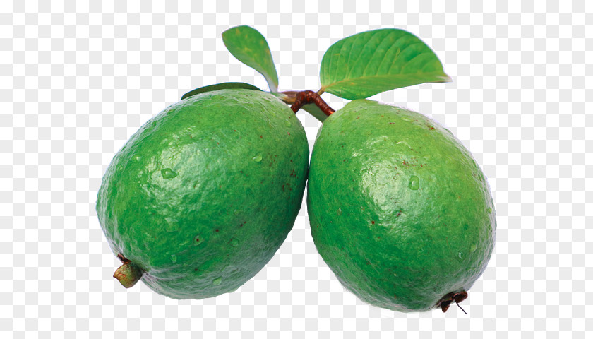 Juice Common Guava Feijoa Orange PNG