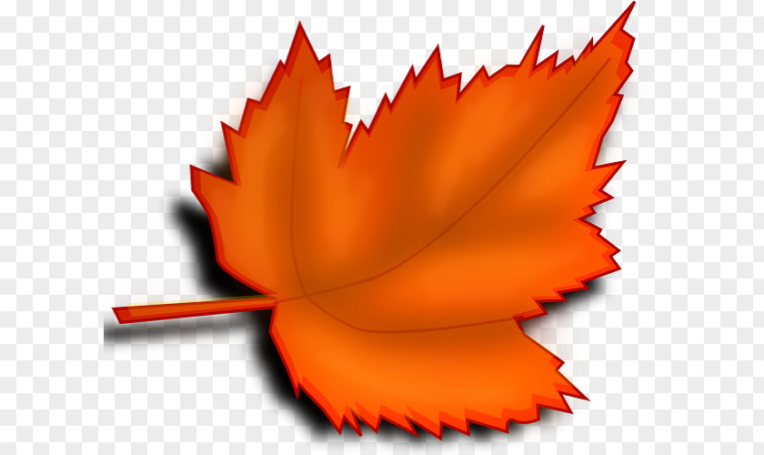 Leaf Desktop Wallpaper Autumn Color Clip Art PNG