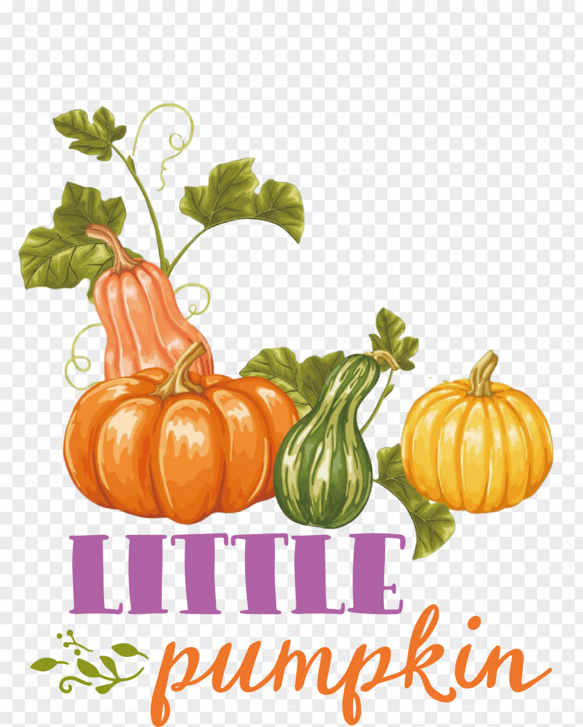 Little Pumpkin Thanksgiving Autumn PNG