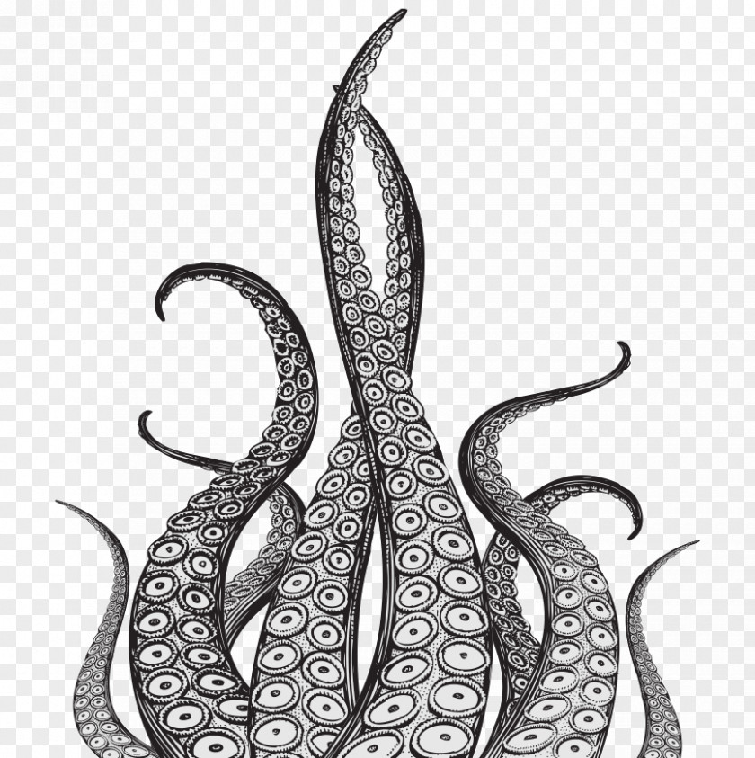 Octopus-cartoon Kraken Octopus Squid Drawing Tentacle PNG