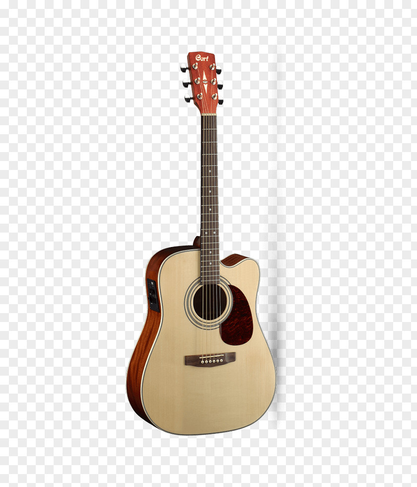 Acoustic Guitar Cort Guitars Dreadnought Acoustic-electric PNG