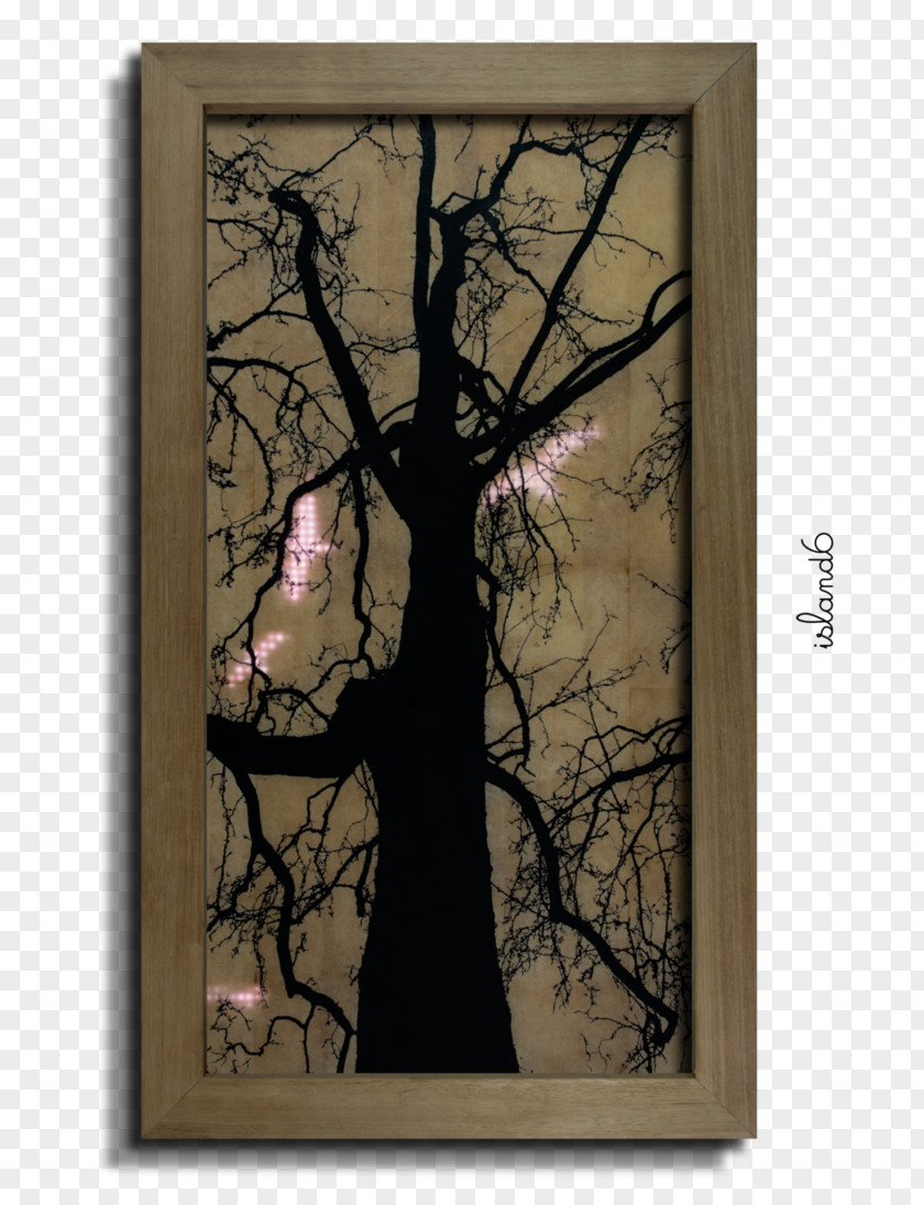 Dryad Modern Art Picture Frames Architecture Flower PNG