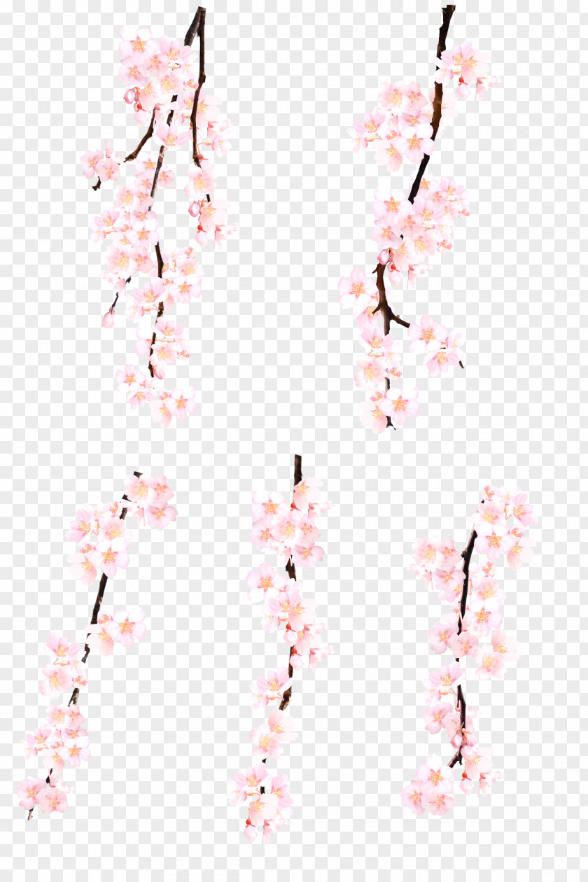 Hand-painted Pink Peach Decorative Patterns Cherry Blossom Computer File PNG