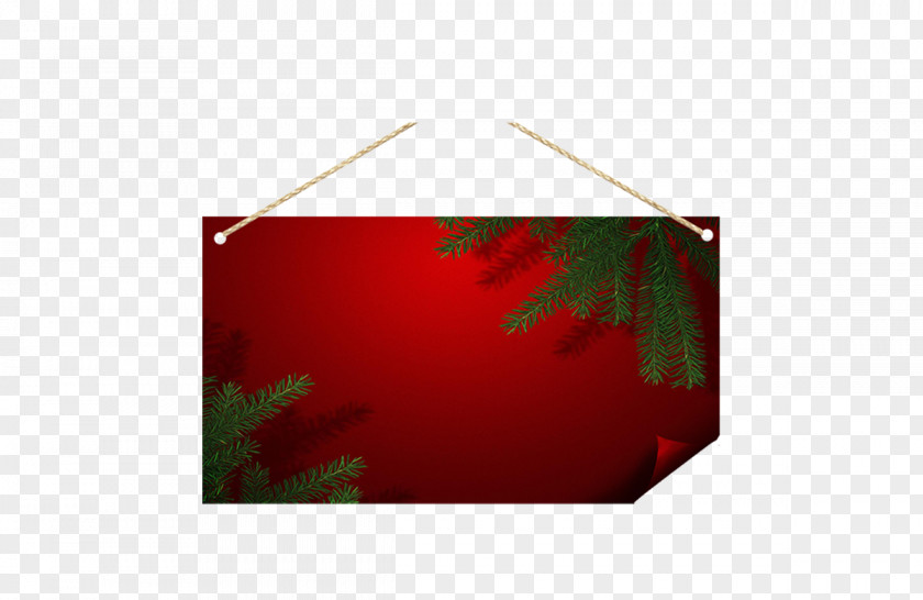 Leaf Rectangle PNG