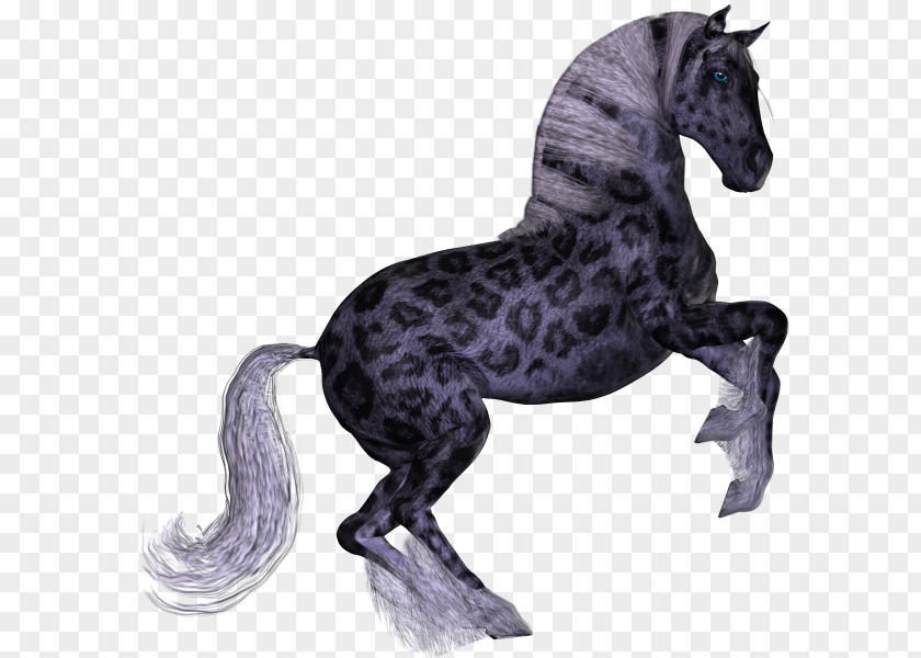 Mustang Leopard Mammal Unicorn 1.2.3 PNG