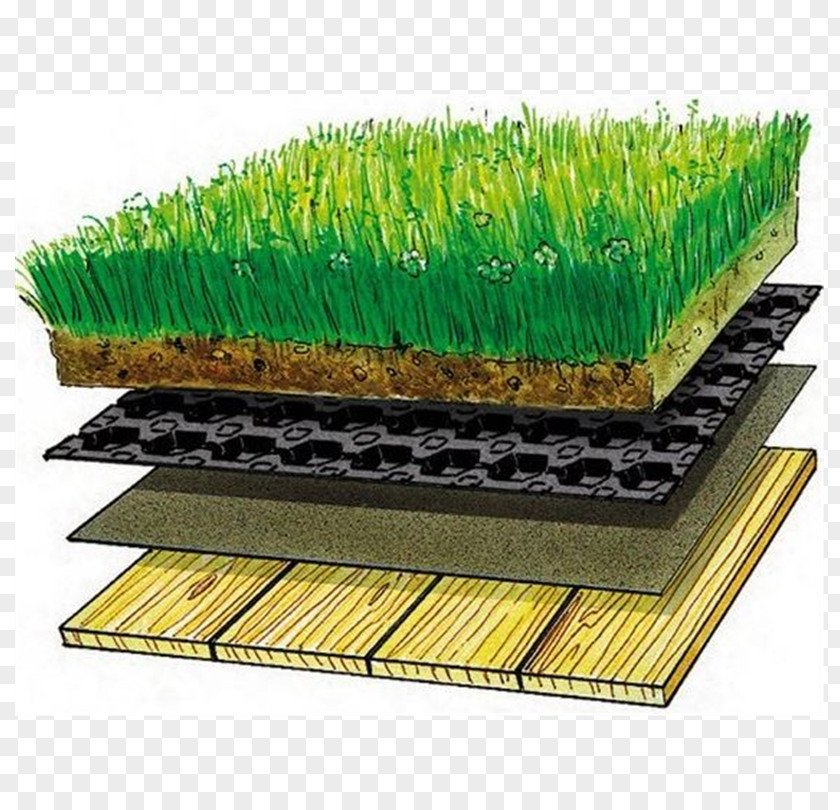 Platon Sod Roof Green Dachdeckung Drainage PNG