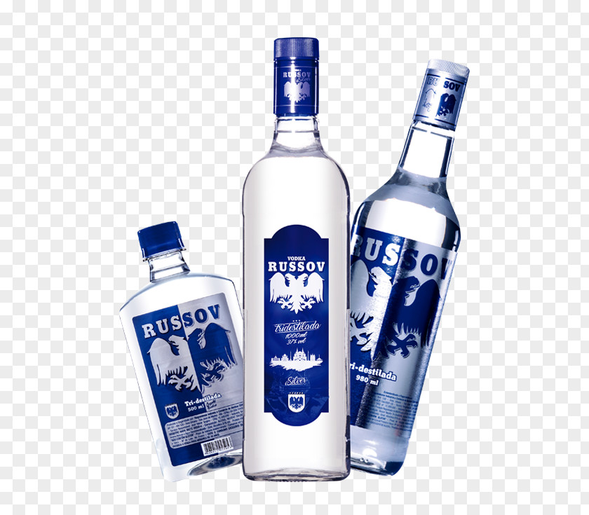 Vodka SKYY Liqueur Drink Bottle PNG