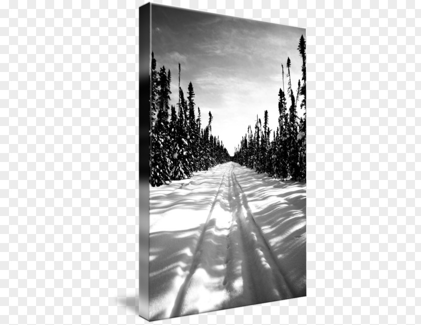 Winter Landscape Gallery Wrap Canvas Art Photography PNG