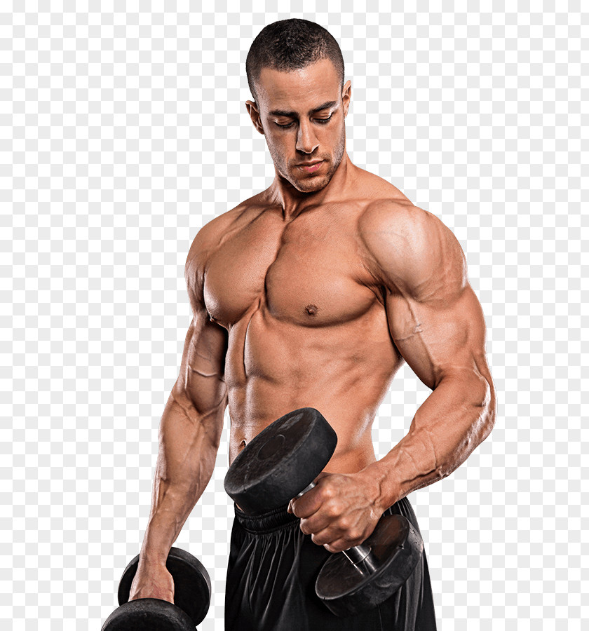 Bodybuilding Dietary Supplement Physical Fitness Muscle PNG