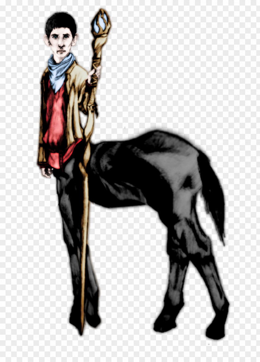 Centaur Horse Human Behavior Livestock Character Cartoon PNG