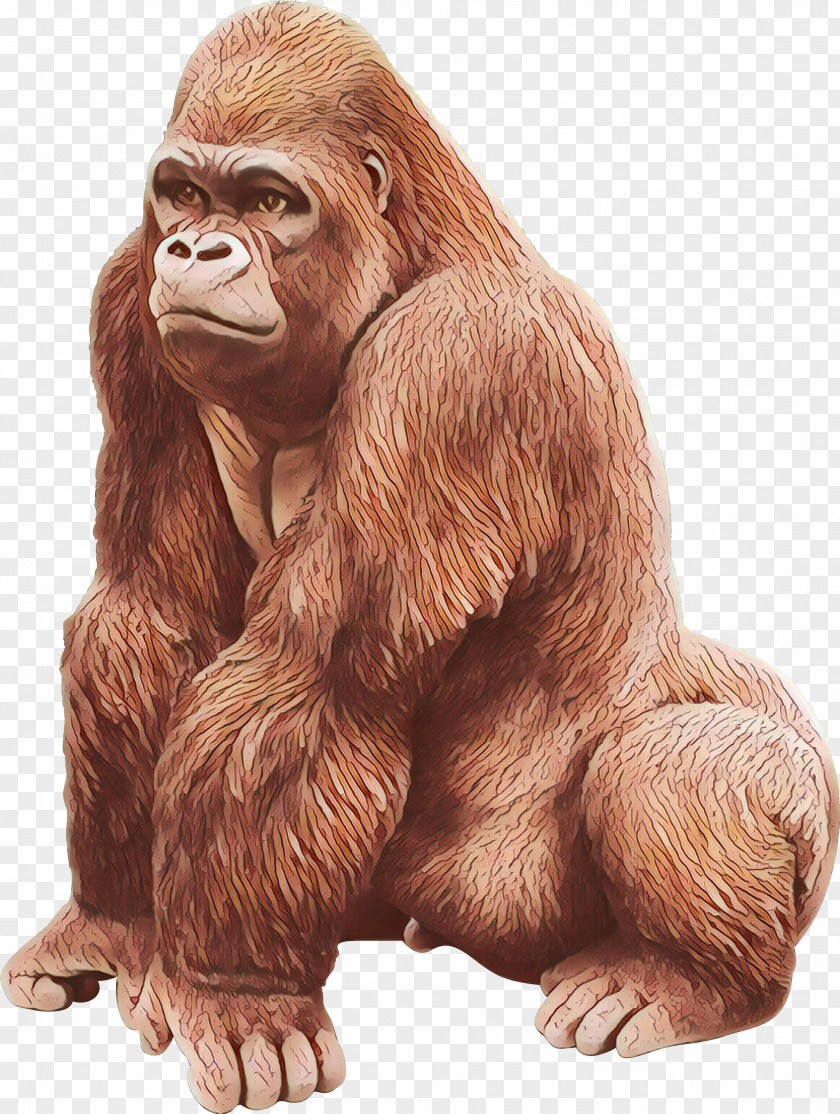 Chimpanzee Western Gorilla Orangutan Monkey Fur PNG