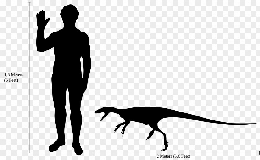 Scale Staurikosaurus Thescelosaurus Dilophosaurus Microraptor Heterodontosaurus PNG