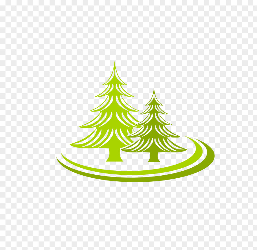 Vector Trees Tree Logo Spruce Fir PNG