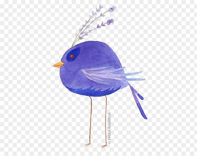 Birds Bird Watercolor Painting Illustration PNG