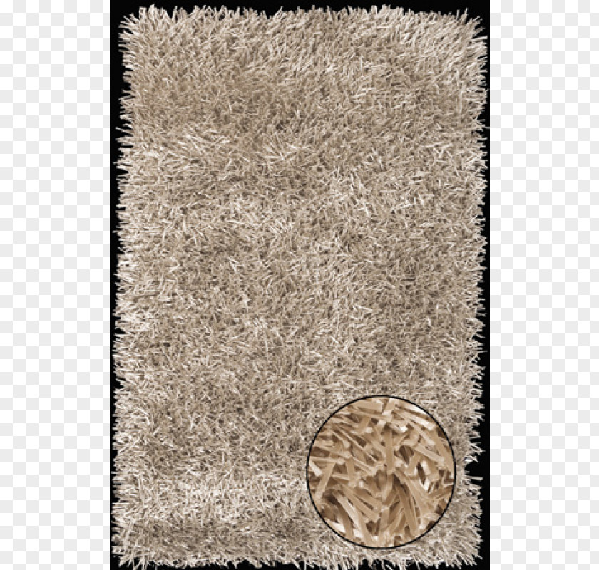 Champagne Carpet Fur Foreign Accents Fettuccine PNG